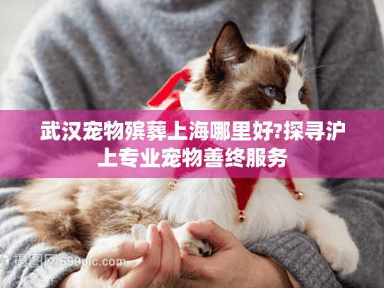 武汉宠物殡葬上海哪里好?探寻沪上专业宠物善终服务