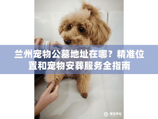 兰州宠物公墓地址在哪?精准位置和宠物安葬服务全指南 兰州宠物公墓地址在哪?精准位置和宠物安葬服务全指南