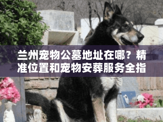 兰州宠物公墓地址在哪?精准位置和宠物安葬服务全指南 兰州宠物公墓地址在哪?精准位置和宠物安葬服务全指南