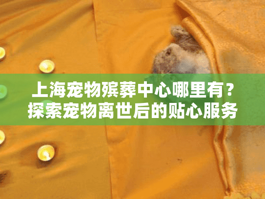上海宠物殡葬中心哪里有？探索宠物离世后的贴心服务