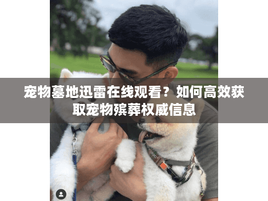 宠物墓地迅雷在线观看？如何高效获取宠物殡葬权威信息