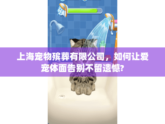 上海宠物殡葬有限公司，如何让爱宠体面告别不留遗憾?