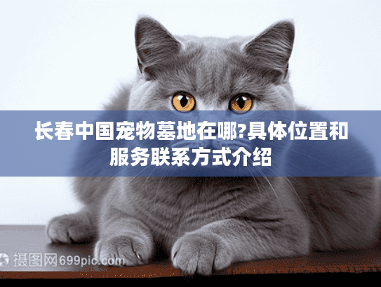 长春中国宠物墓地在哪?具体位置和服务联系方式介绍