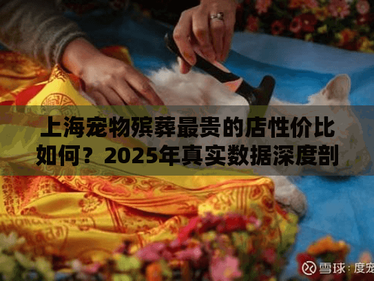 上海宠物殡葬最贵的店性价比如何？2025年真实数据深度剖析
