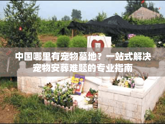 中国哪里有宠物墓地？一站式解决宠物安葬难题的专业指南