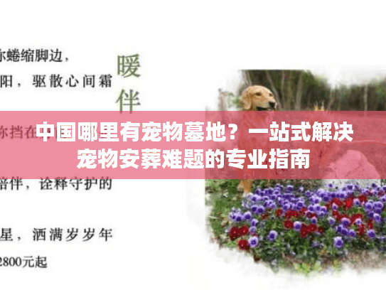 中国哪里有宠物墓地？一站式解决宠物安葬难题的专业指南
