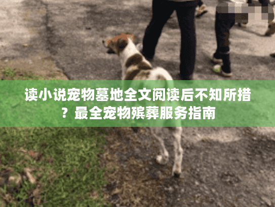 读小说宠物墓地全文阅读后不知所措？最全宠物殡葬服务指南