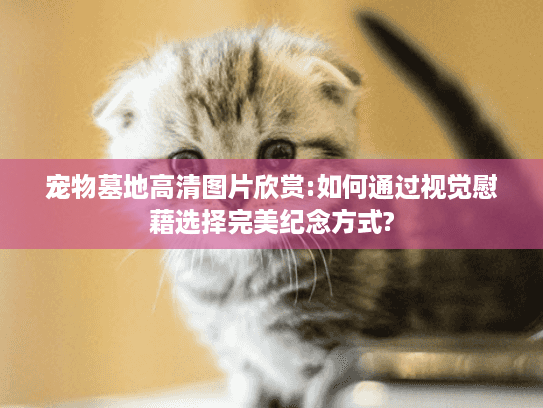 宠物墓地高清图片欣赏:如何通过视觉慰藉选择完美纪念方式?