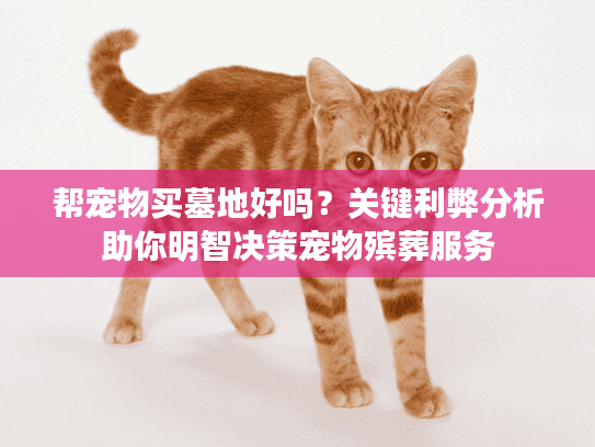 帮宠物买墓地好吗？关键利弊分析助你明智决策宠物殡葬服务