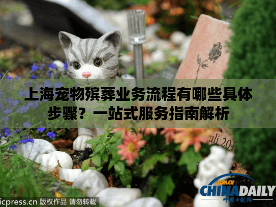 上海宠物殡葬业务流程有哪些具体步骤？一站式服务指南解析