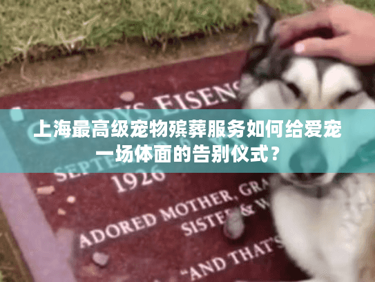 上海最高级宠物殡葬服务如何给爱宠一场体面的告别仪式？