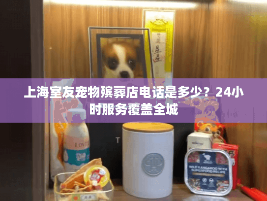 上海室友宠物殡葬店电话是多少？24小时服务覆盖全城