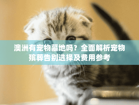 澳洲有宠物墓地吗？全面解析宠物殡葬告别选择及费用参考