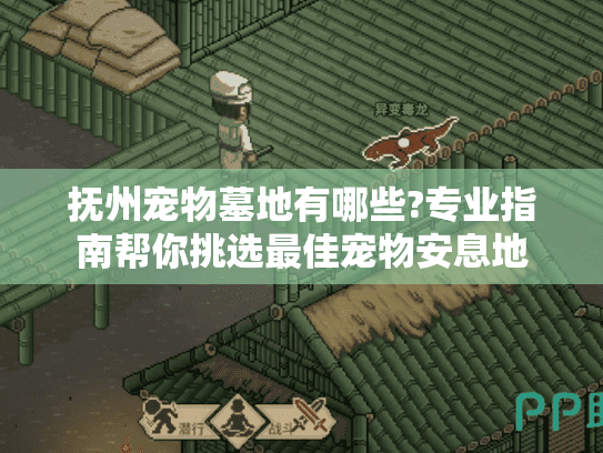 抚州宠物墓地有哪些?专业指南帮你挑选最佳宠物安息地
