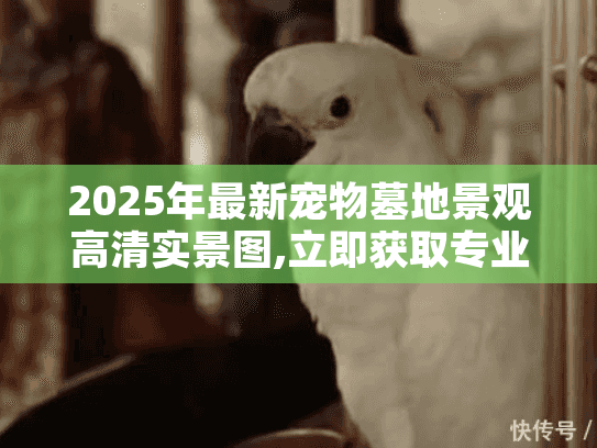 2025年最新宠物墓地景观高清实景图,立即获取专业方案