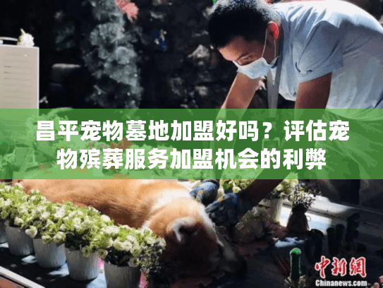 昌平宠物墓地加盟好吗?评估宠物殡葬服务加盟机会的利弊 昌平宠物墓地加盟好吗?评估宠物殡葬服务加盟机会的利弊