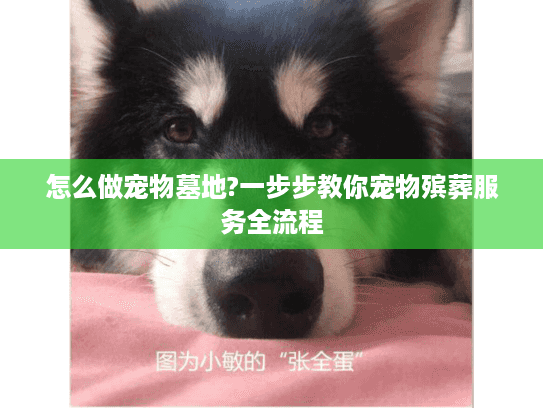 怎么做宠物墓地?一步步教你宠物殡葬服务全流程 怎么做宠物墓地?一步步教你宠物殡葬服务全流程
