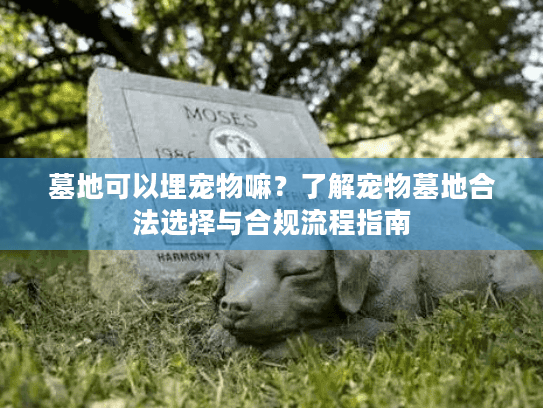 墓地可以埋宠物嘛?了解宠物墓地合法选择与合规流程指南 墓地可以埋宠物嘛?了解宠物墓地合法选择与合规流程指南