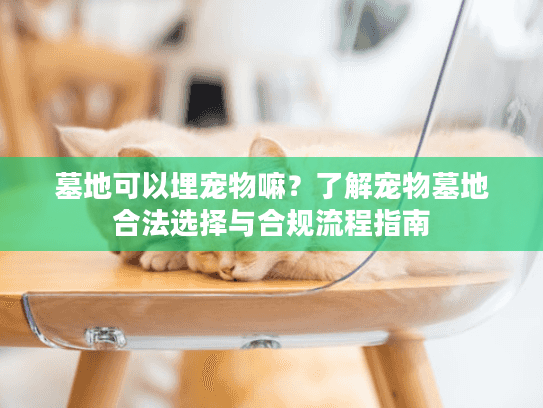 墓地可以埋宠物嘛?了解宠物墓地合法选择与合规流程指南 墓地可以埋宠物嘛?了解宠物墓地合法选择与合规流程指南