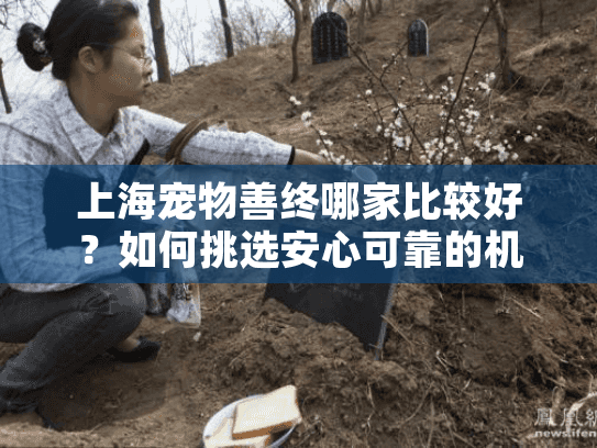 上海宠物善终哪家比较好？如何挑选安心可靠的机构？
