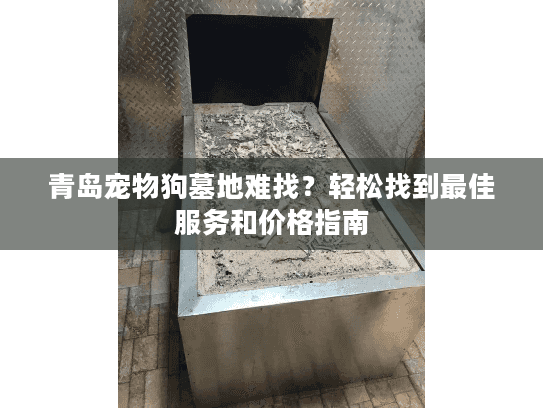 青岛宠物狗墓地难找？轻松找到最佳服务和价格指南