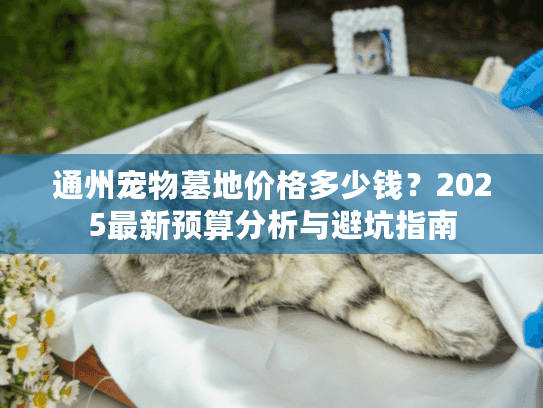 通州宠物墓地价格多少钱？2025最新预算分析与避坑指南