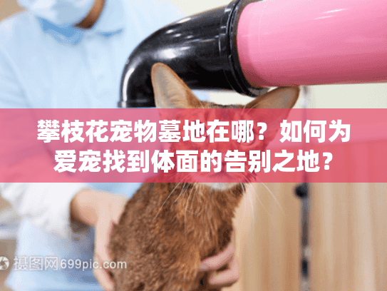 攀枝花宠物墓地在哪？如何为爱宠找到体面的告别之地？