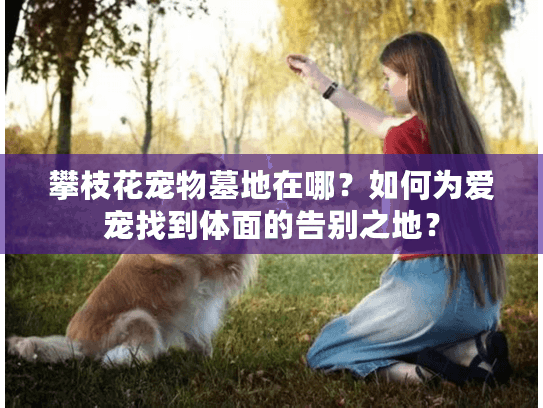 攀枝花宠物墓地在哪？如何为爱宠找到体面的告别之地？