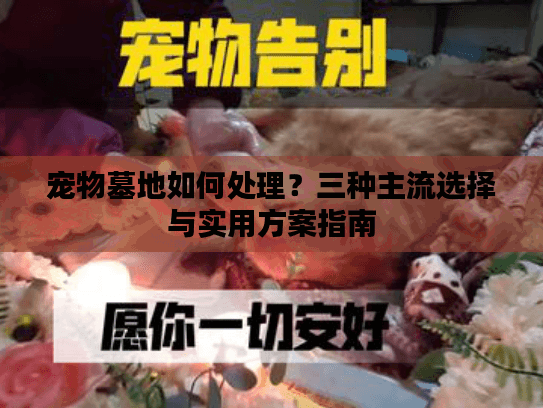 宠物墓地如何处理？三种主流选择与实用方案指南
