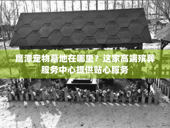 鹰潭宠物墓地在哪里？这家高端殡葬服务中心提供贴心服务