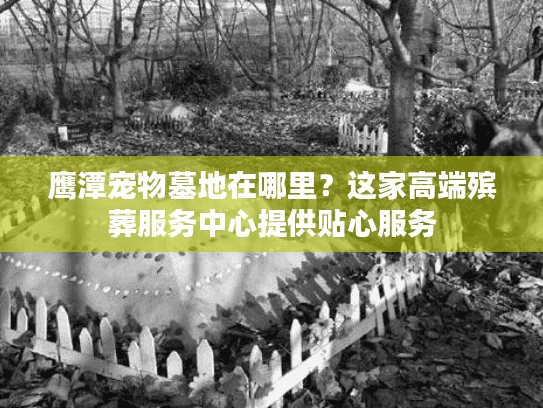 鹰潭宠物墓地在哪里？这家高端殡葬服务中心提供贴心服务