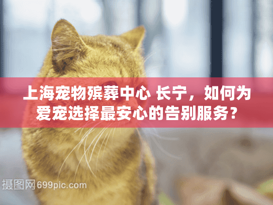 上海宠物殡葬中心 长宁，如何为爱宠选择最安心的告别服务？