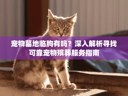 宠物墓地临朐有吗？深入解析寻找可靠宠物殡葬服务指南