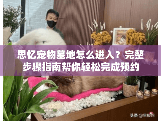 思忆宠物墓地怎么进入？完整步骤指南帮你轻松完成预约