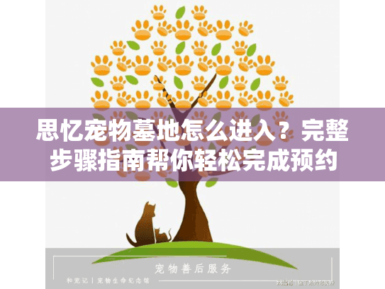 思忆宠物墓地怎么进入？完整步骤指南帮你轻松完成预约