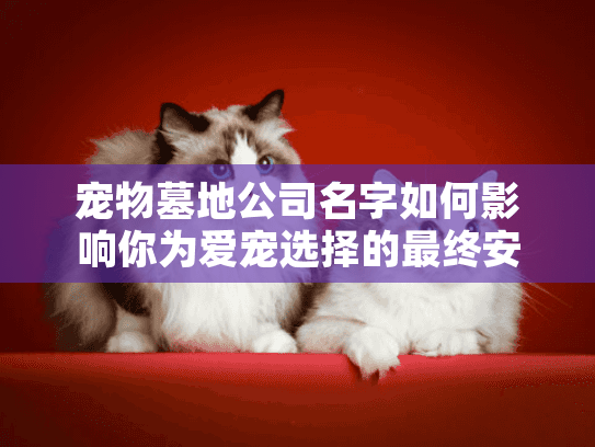宠物墓地公司名字如何影响你为爱宠选择的最终安宁？