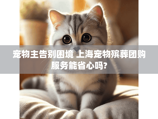 宠物主告别困境 上海宠物殡葬团购服务能省心吗?