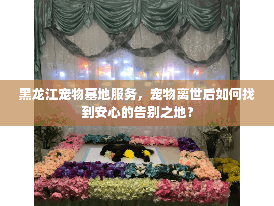 黑龙江宠物墓地服务，宠物离世后如何找到安心的告别之地？