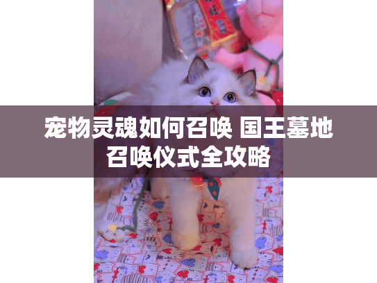 宠物灵魂如何召唤 国王墓地召唤仪式全攻略