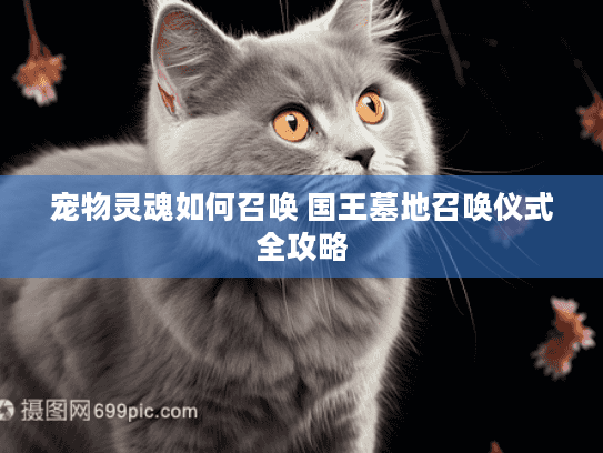宠物灵魂如何召唤 国王墓地召唤仪式全攻略
