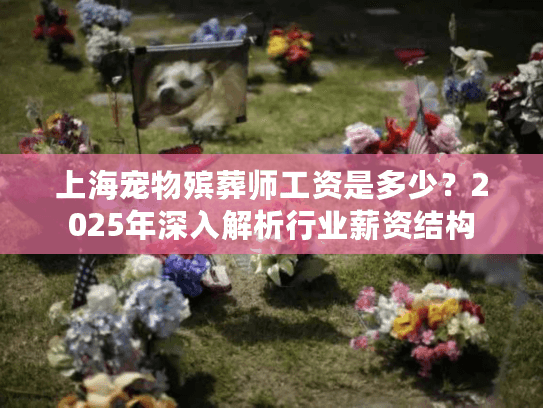 上海宠物殡葬师工资是多少？2025年深入解析行业薪资结构