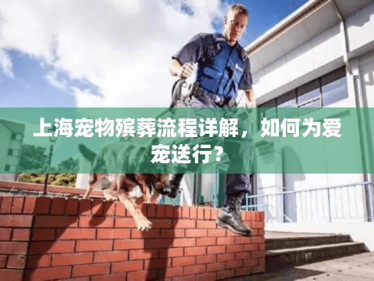 上海宠物殡葬流程详解，如何为爱宠送行？