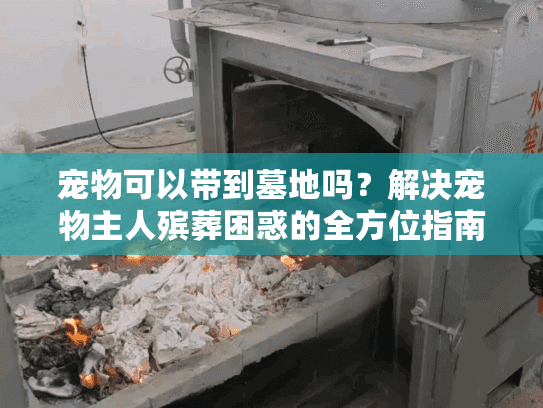宠物可以带到墓地吗？解决宠物主人殡葬困惑的全方位指南