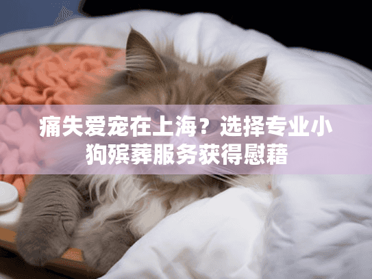 痛失爱宠在上海？选择专业小狗殡葬服务获得慰藉