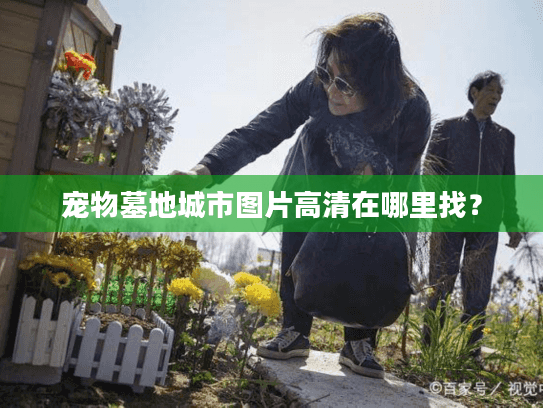 宠物墓地城市图片高清在哪里找？