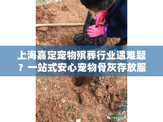 上海嘉定宠物殡葬行业遇难题？一站式安心宠物骨灰存放服务指南