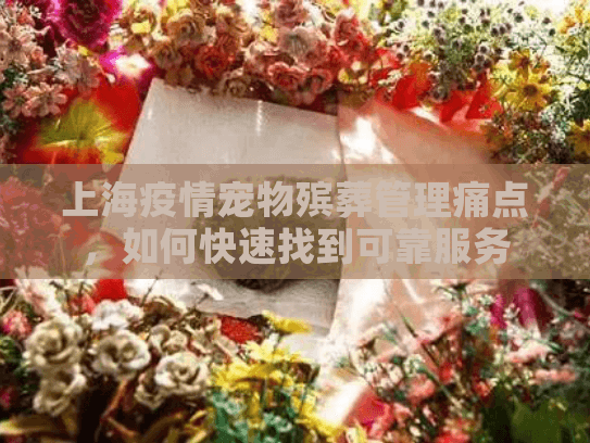 上海疫情宠物殡葬管理痛点，如何快速找到可靠服务