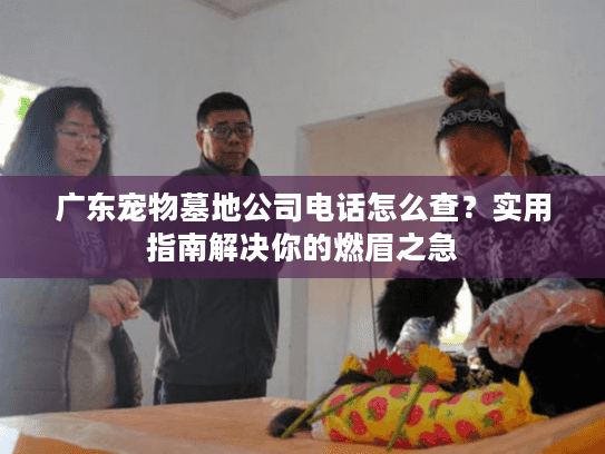 广东宠物墓地公司电话怎么查？实用指南解决你的燃眉之急