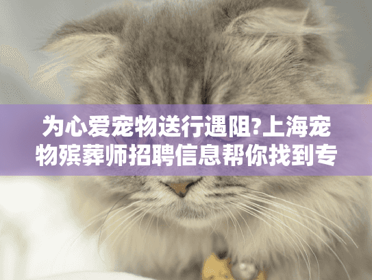 为心爱宠物送行遇阻?上海宠物殡葬师招聘信息帮你找到专业伙伴!