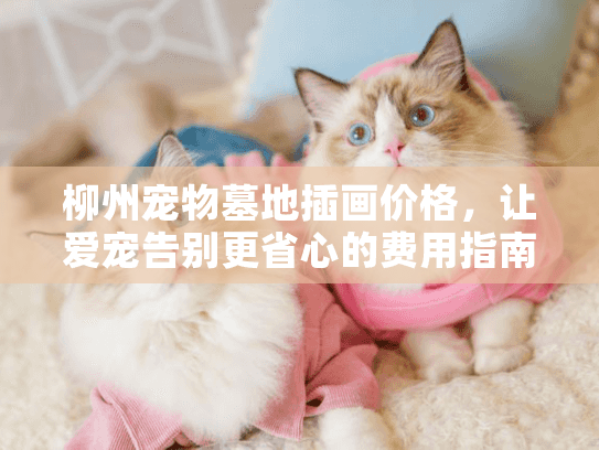 柳州宠物墓地插画价格，让爱宠告别更省心的费用指南